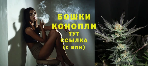 гашик Мегион