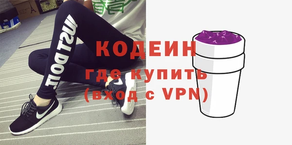 гашик Мегион
