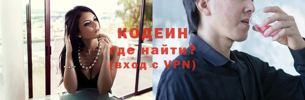 гашик Мегион