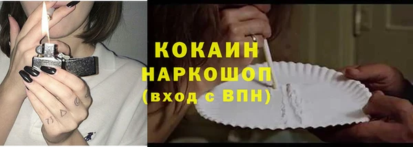 гашик Мегион