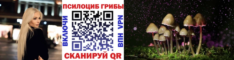 Псилоцибиновые грибы прущие грибы  Урус-Мартан 