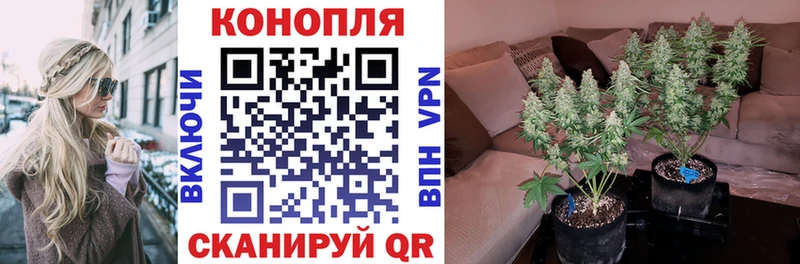 мориарти официальный сайт  Урус-Мартан  Марихуана марихуана 